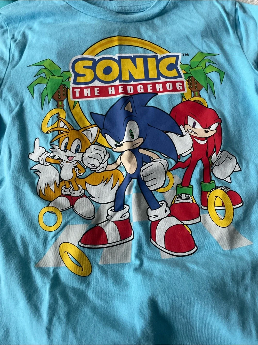 Sonic The Hedgehog sonic hedgehog